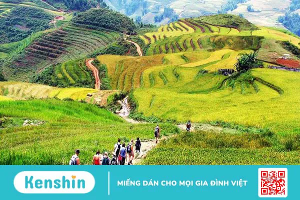 5 điểm phân biệt hiking và trekking không phải ai cũng biết 1