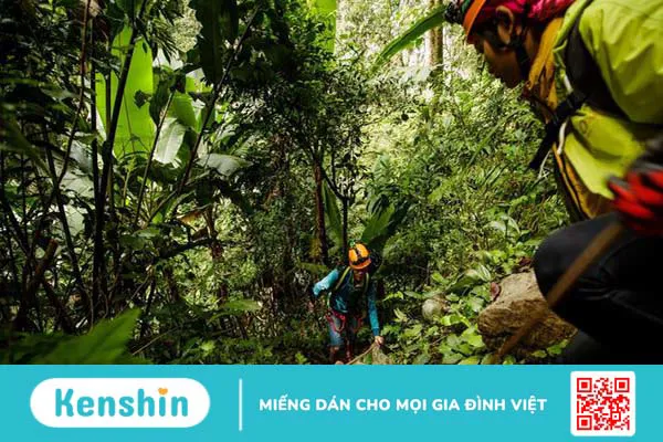 5 điểm phân biệt hiking và trekking không phải ai cũng biết 2