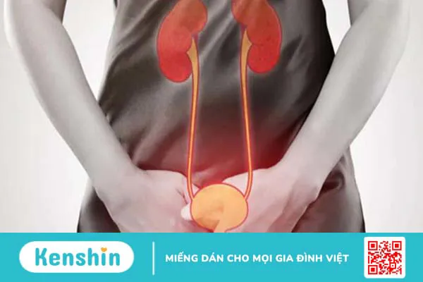 7 lý do vì sao phụ nữ dễ viêm đường tiểu hơn nam giới 1