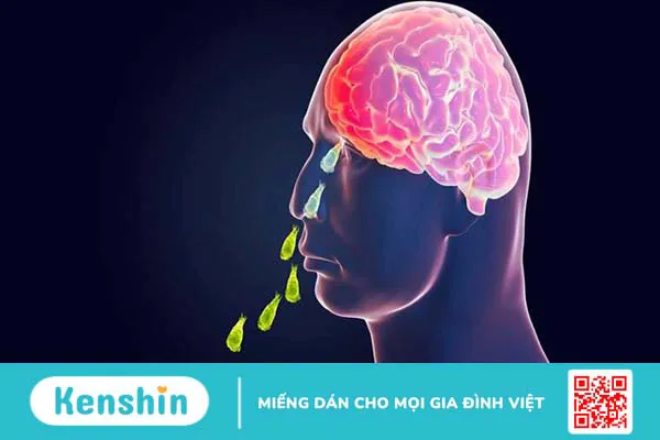 Amip ăn não lây nhiễm sang người như thế nào? Cách dự phòng bệnh 2