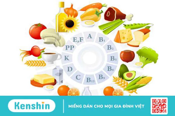 vai trò quan trọng của vitamin