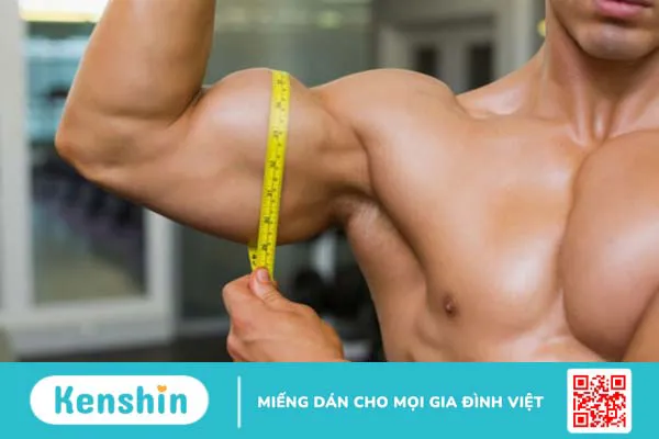 Bench press là gì? Hướng dẫn tập bench press đúng cách 2