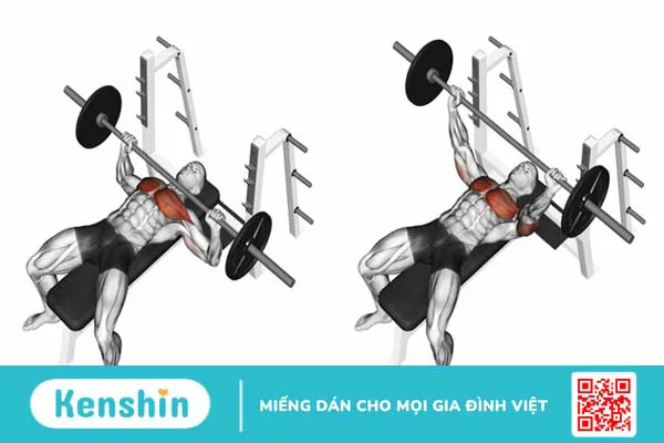 Bench press là gì? Hướng dẫn tập bench press đúng cách 3