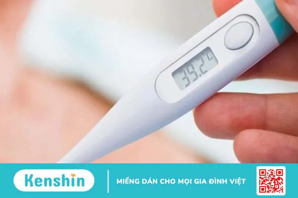 Bệnh Rickettsial là gì? Dấu hiệu nhận biết và cách phòng tránh bạn cần biết 2