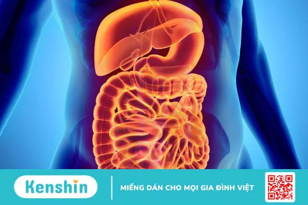 Bệnh viêm hồi tràng: Tìm hiểu nguyên nhân, triệu chứng, cách điều trị bệnh 1