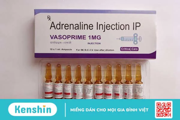 Bị ong đốt uống thuốc gì? Những nạn nhân bị ong đốt cần phải nhập viện ngay 4