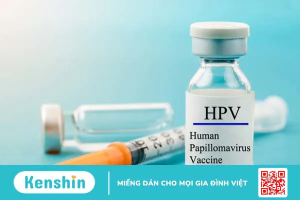 bi-sui-mao-ga-co-tiem-phong-hpv-duoc-khong 3