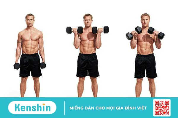 Dumbbell Biceps Curl là bài tập sử dụng hai quả tạ đơn