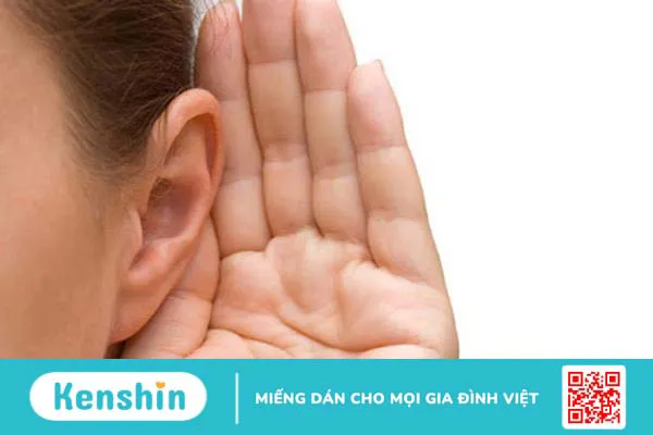 Các giác quan trên cơ thể người có chức năng gì? 4