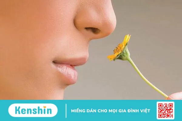 Các giác quan trên cơ thể người có chức năng gì? 4