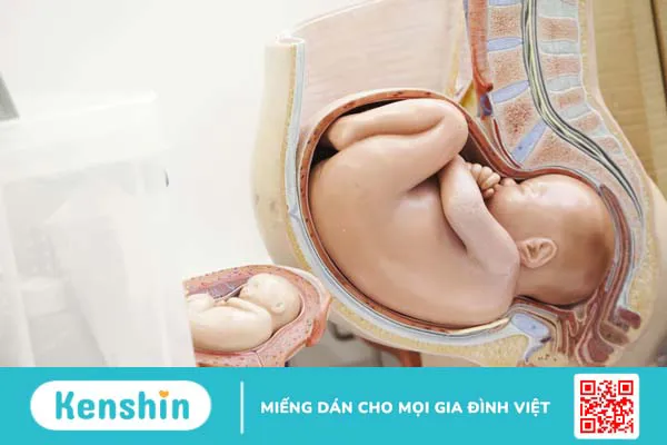 Các giai đoạn chuyển dạ: Nhận biết và theo dõi để giảm thiểu biến chứng 1