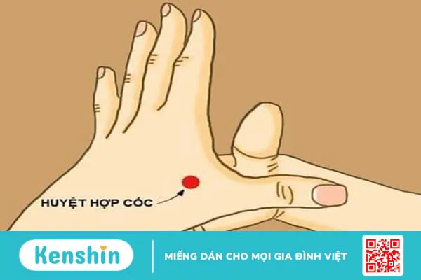 Các huyệt không dùng cho phụ nữ có thai 2