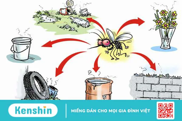 Các loại muỗi truyền bệnh là những loại nào? 03