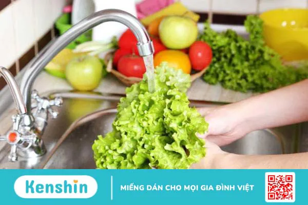 Cách bảo quản thực phẩm đi dã ngoại? 2