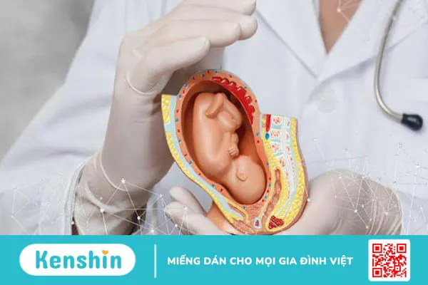 Cách cầm máu khi bị nhau tiền đạo hiệu quả 4