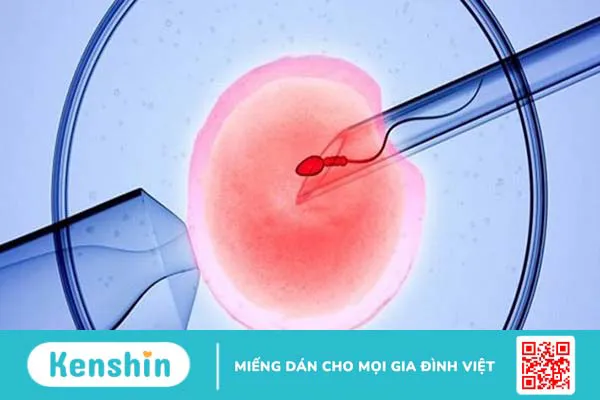 Cách chăm sóc thai IVF 3 tháng đầu để mẹ và bé an toàn, khỏe mạnh 1