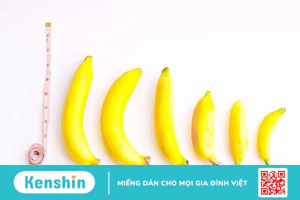 Cách đo kích thước dương vật chính xác? Kích thước bao nhiêu là bình thường? 3