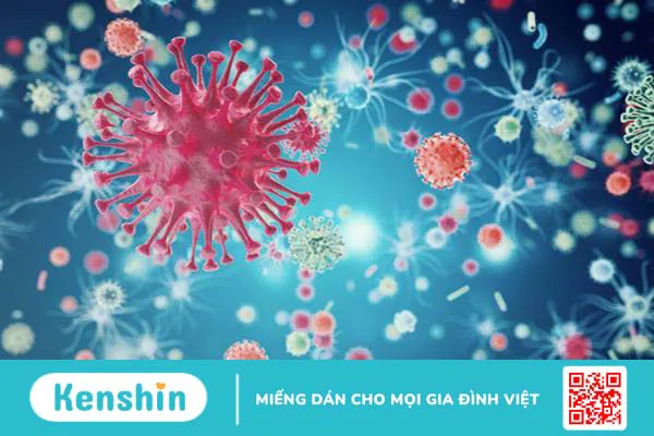 Cách phòng chống HIV giúp bạn kiểm soát tốt nguy cơ mắc bệnh 1