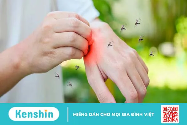 Cách phòng sốt xuất huyết hiệu quả mà ai cũng cần biết 3