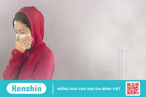 Ô nhiễm không khí đóng vai trò quan trọng trong việc gia tăng nhiều loại bệnh trong đó có bệnh viêm mũi dị ứng