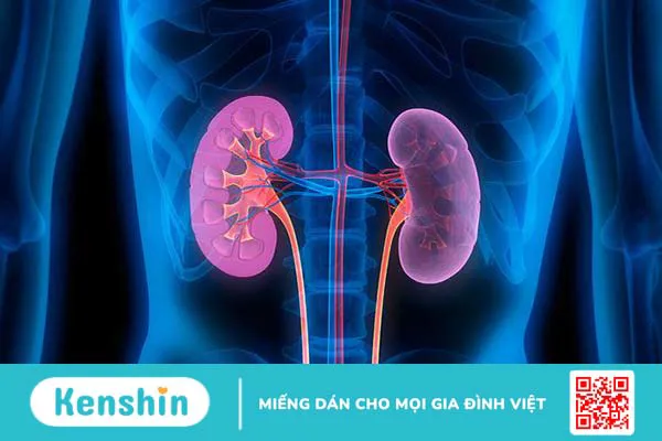 Chấn thương thận kín và những triệu chứng của nó 2