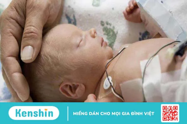 Những điều cần biết về chế độ ăn kiêng i ốt 3