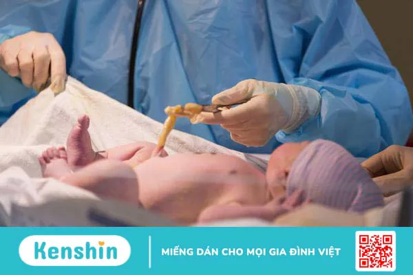 Chi phí lữu trữ tế bào gốc dây rốn 1