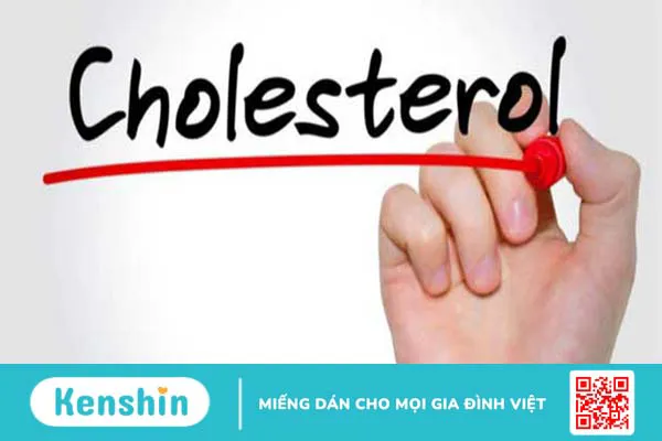 chi-so-cholesterol-thap-gay-anh-huong-xau-nhu-the-nao-1