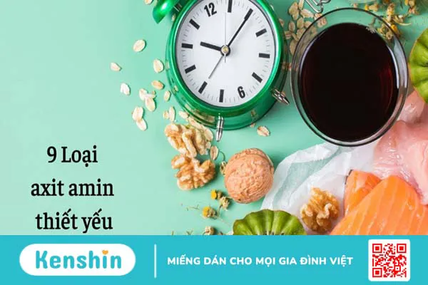 Có bao nhiêu loại axit amin? Phân loại axit amin thiết yếu và axit amin không thiết yếu 1