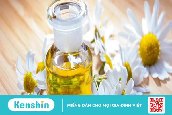 Tác dụng của tinh dầu hoa cúc bạn nên biết 3