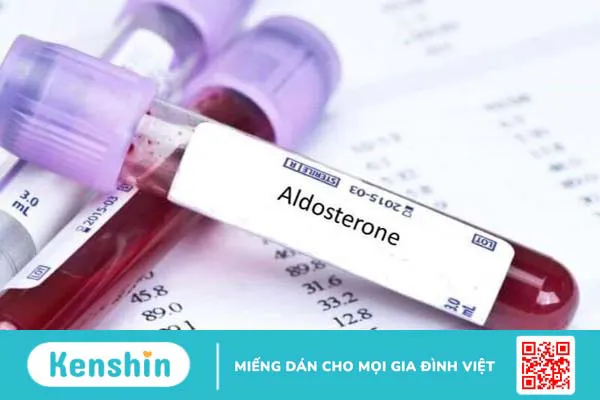 Cường aldosteron thứ phát là gì? Tìm hiểu "tất tần tật" về cường aldosteron thứ phát 4