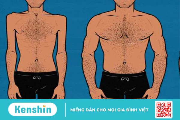 Cutting gym là gì? Và cách thực hiện cutting gym