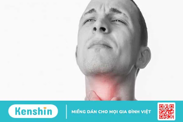 Giải phẫu hạ họng và các ứng dụng trong ung thư hạ họng 2