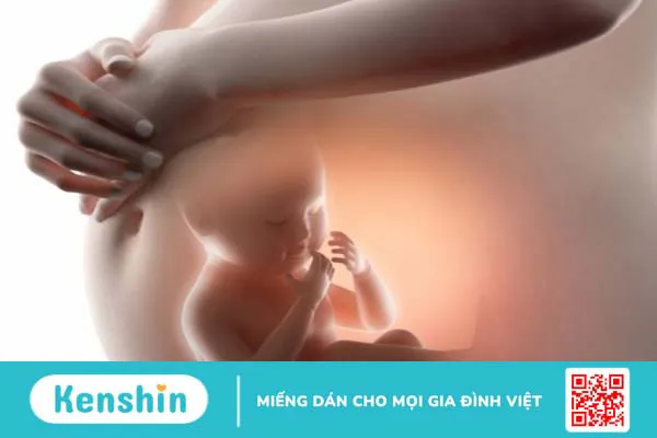 Dây rốn 2 mạch máu có ảnh hưởng gì đến thai nhi hay không? 2