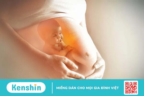 Dây rốn một động mạch là như thế nào? Nguyên nhân do đâu? 2