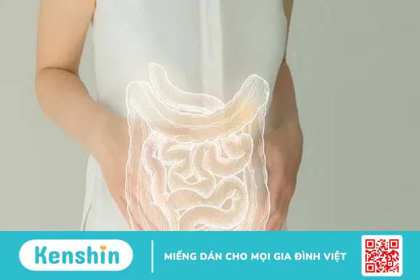 Đi ngoài ra chất nhầy màu hồng - Lời cảnh báo của cơ thể 1