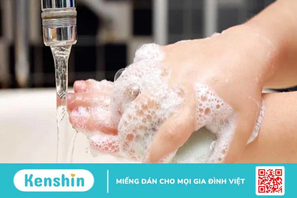 Dị ứng cây sơn độc: Nguyên nhân và cách phòng tránh dị ứng 3