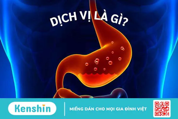 Dịch vị là gì? Cơ chế điều hòa tiết dịch vị của dạ dày