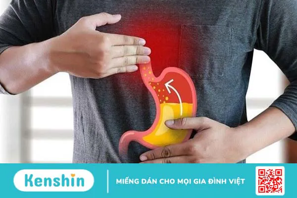 Dịch vị là gì? Cơ chế điều hòa tiết dịch vị của dạ dày 2