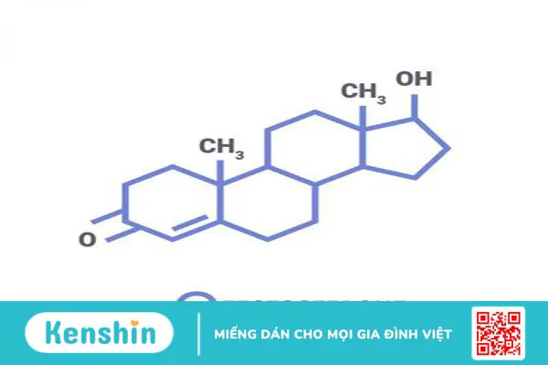 Testosteron là hooc môn không chỉ có ở nam giới