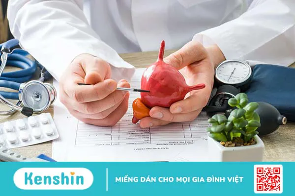 Đo niệu động học bao gồm những bước gì? 1