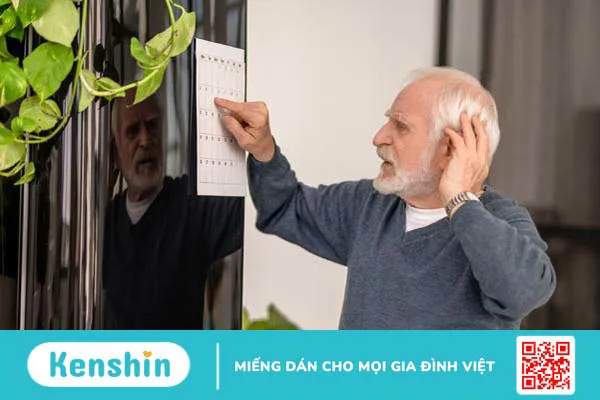 Động mạch đốt sống và thiểu năng tuần hoàn máu não 2