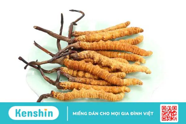 Đông trùng hạ thảo giá bao nhiêu 1kg