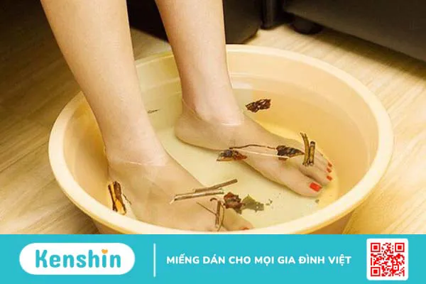 Dùng cây ngải dại chữa viêm da cơ địa hiệu quả bất ngờ ít người biết 2