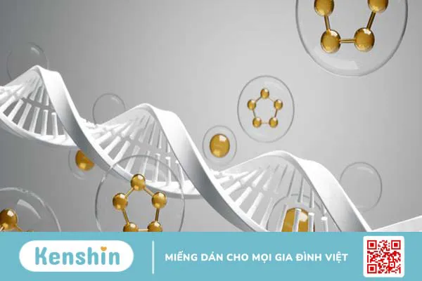 di-truyen-hoc-bieu-sinh-epigenetic-la-gi 2