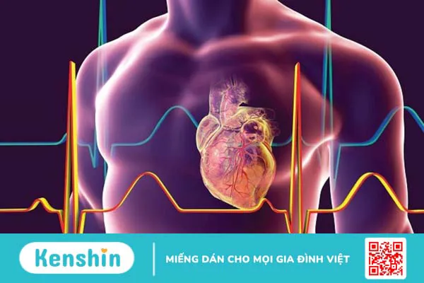 Phẫu thuật nội soi tim dành cho người bệnh 3