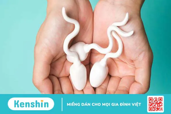 Giải đáp: Muốn có thai thì quan hệ xong nên làm gì? 1