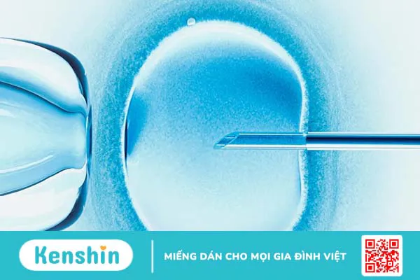 Giải đáp những thủ tục làm IVF cho người nước ngoài tại Việt Nam 1