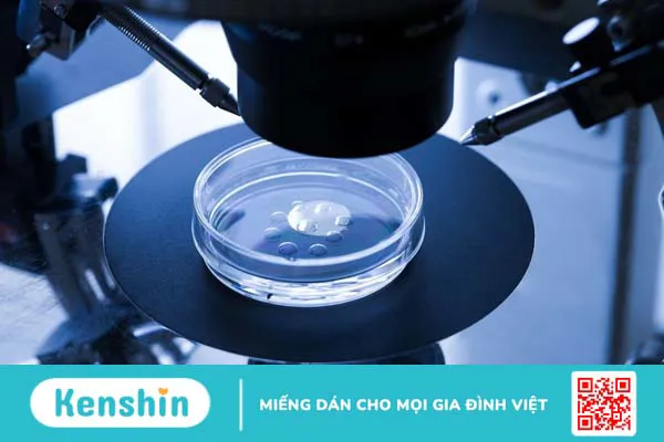 Giải đáp những thủ tục làm IVF cho người nước ngoài tại Việt Nam 2