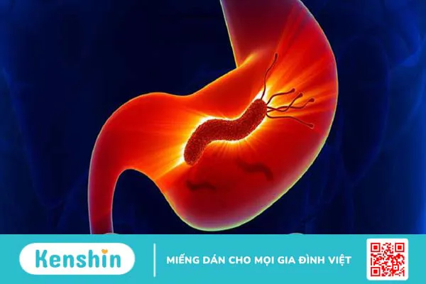 Giải đáp thắc mắc: Xét nghiệm máu HP có chính xác không?